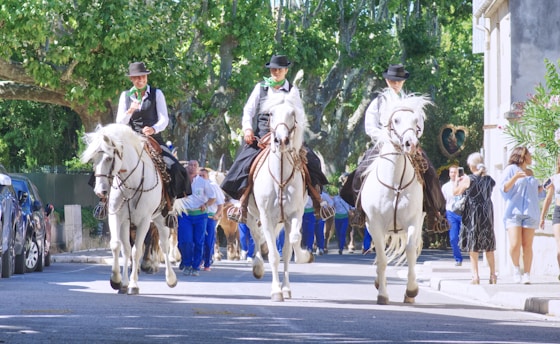 people riding horses on road during daytime
