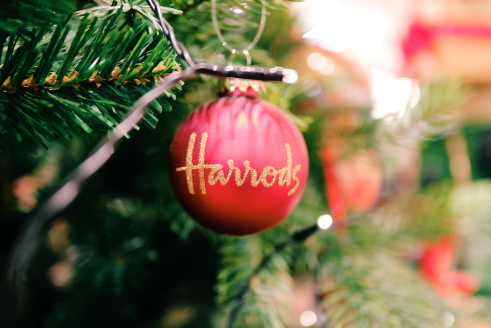 red bauble on green tree