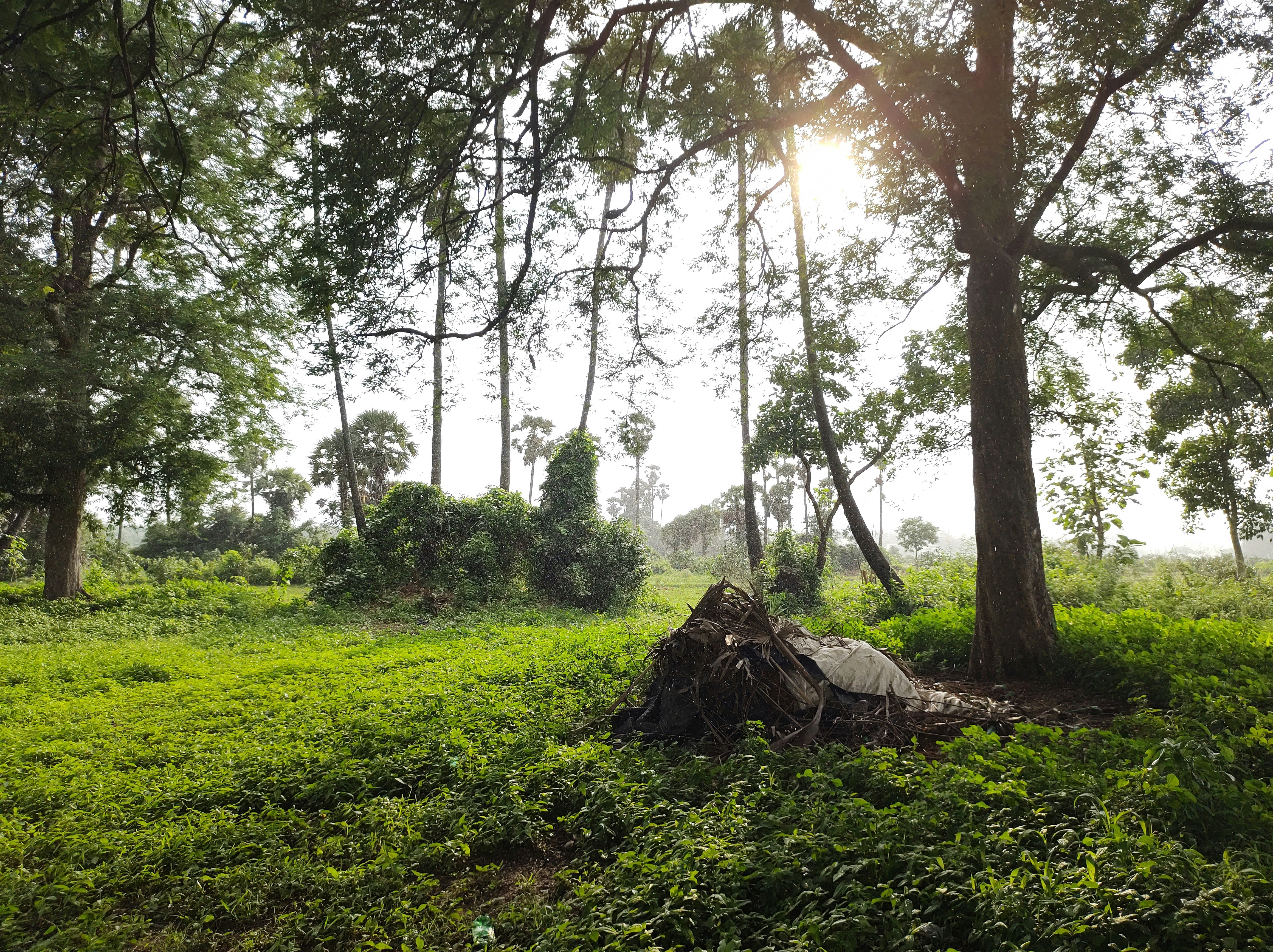 Photo by saimarthand