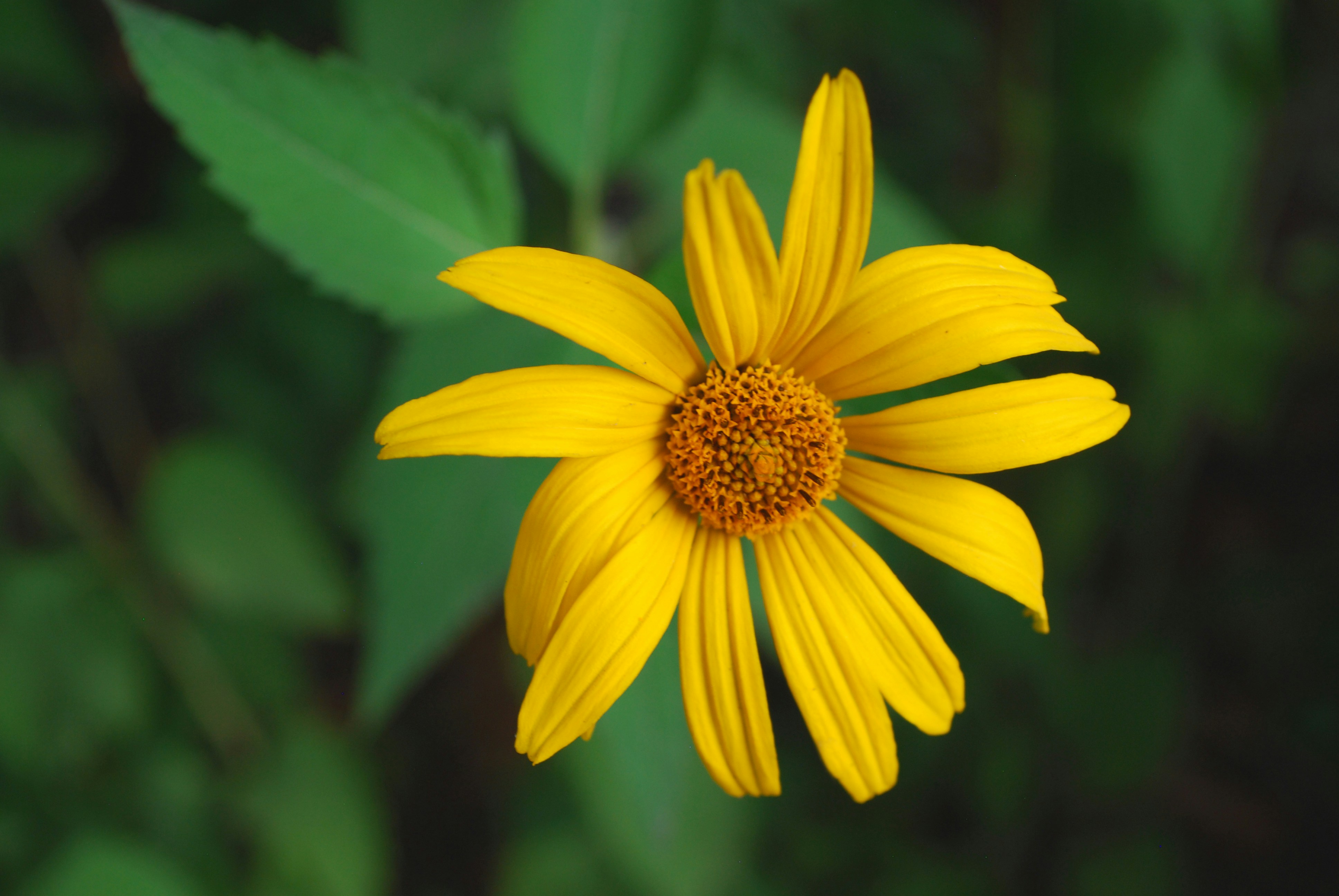 Photo by origamiaround