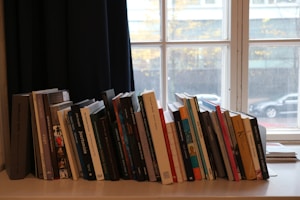 A collection of various books is neatly organized on a beige surface near a window. The books are of different colors and thicknesses, some leaning against a dark curtain, and a cloudy day can be seen through the glass panes with faintly visible buildings and vehicles in the background.