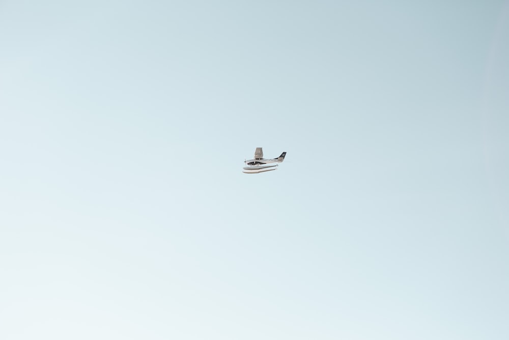 white and black bird flying under white sky during daytime