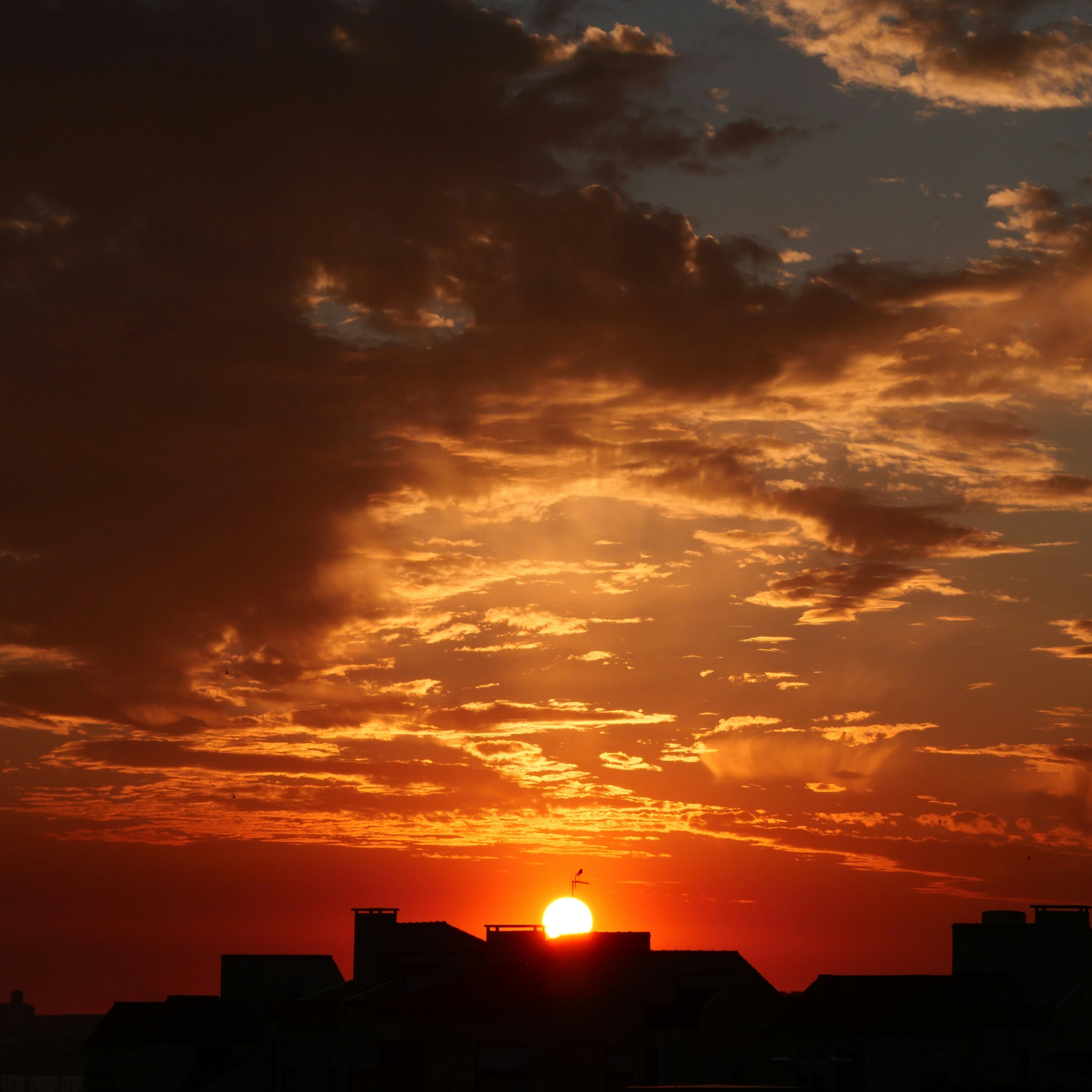 Photo by nimbus_vulpis