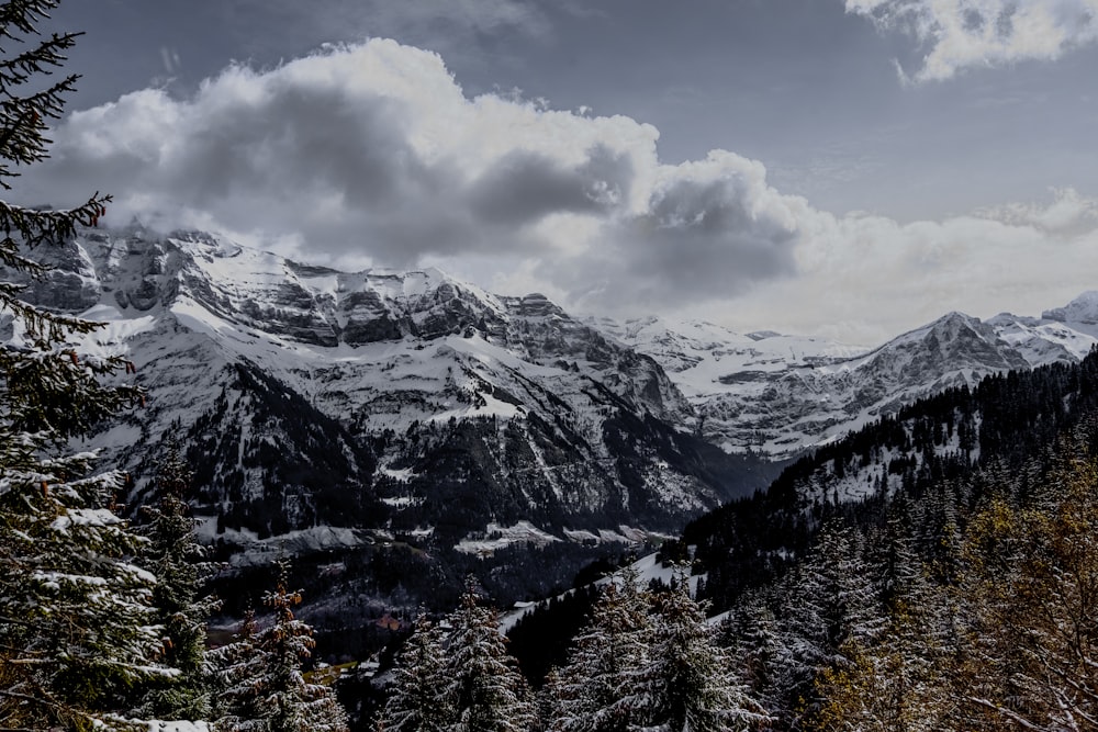 green trees on mountain under white clouds during daytime