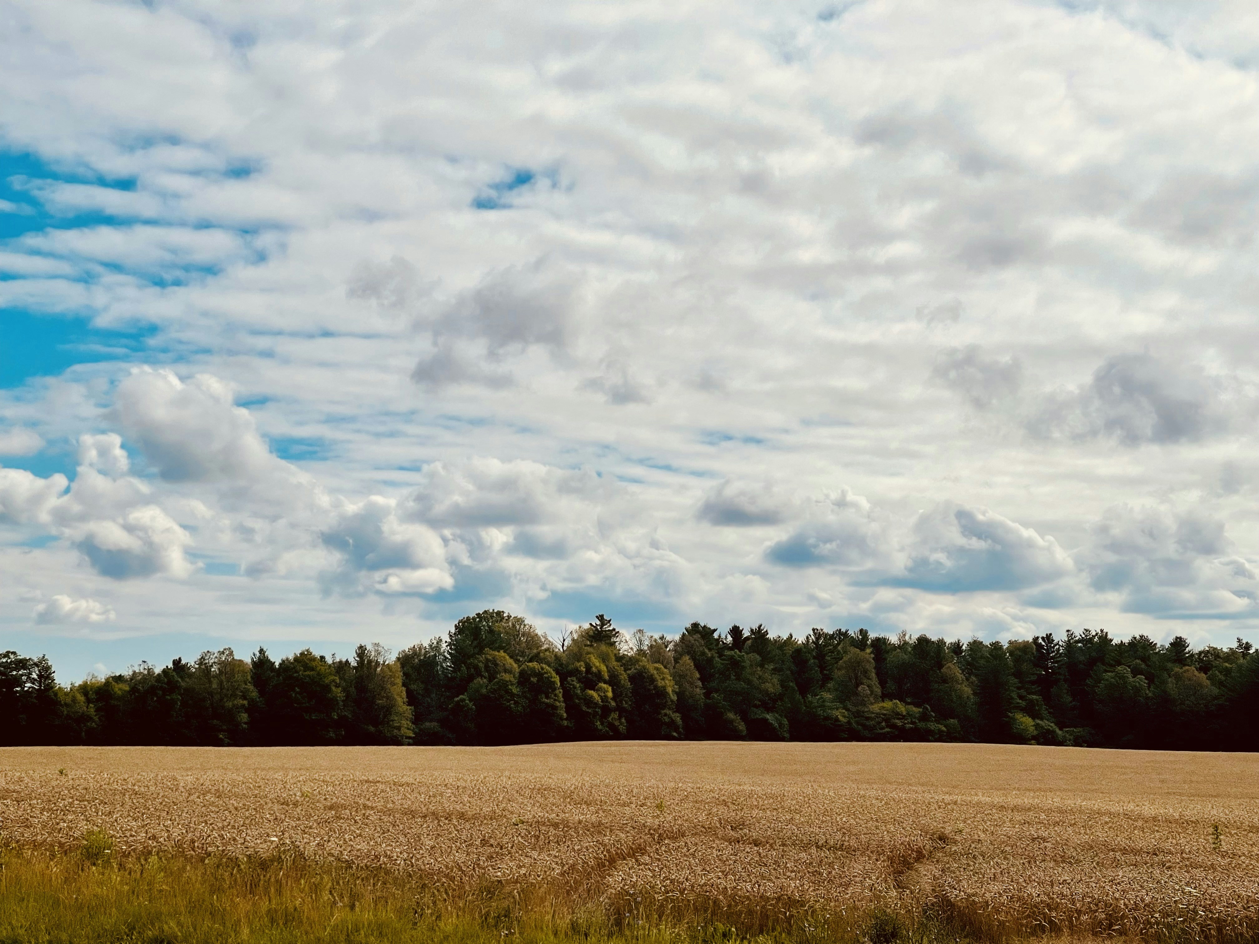 Photo by marcanthonyd