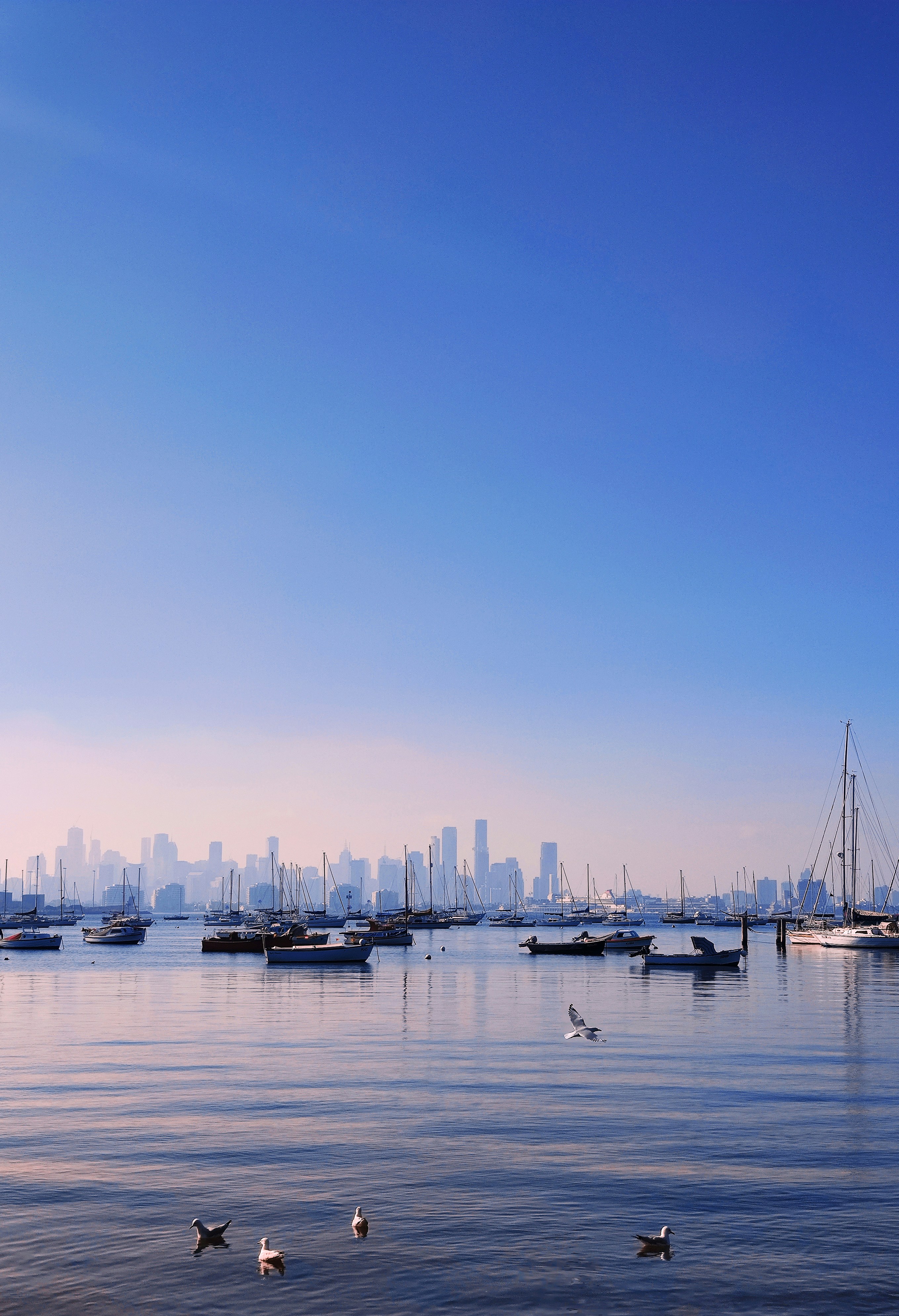 Boats on the water with Melbourne skyline in the distance.