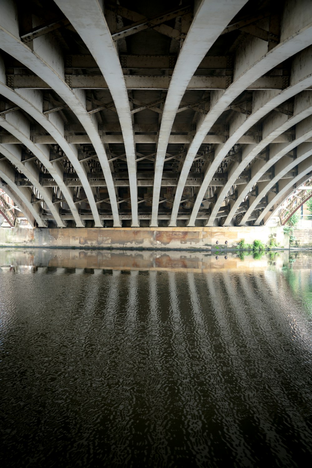 body of water under white concrete bridge