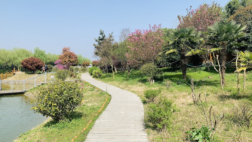 green grass and pink flowers near pathway