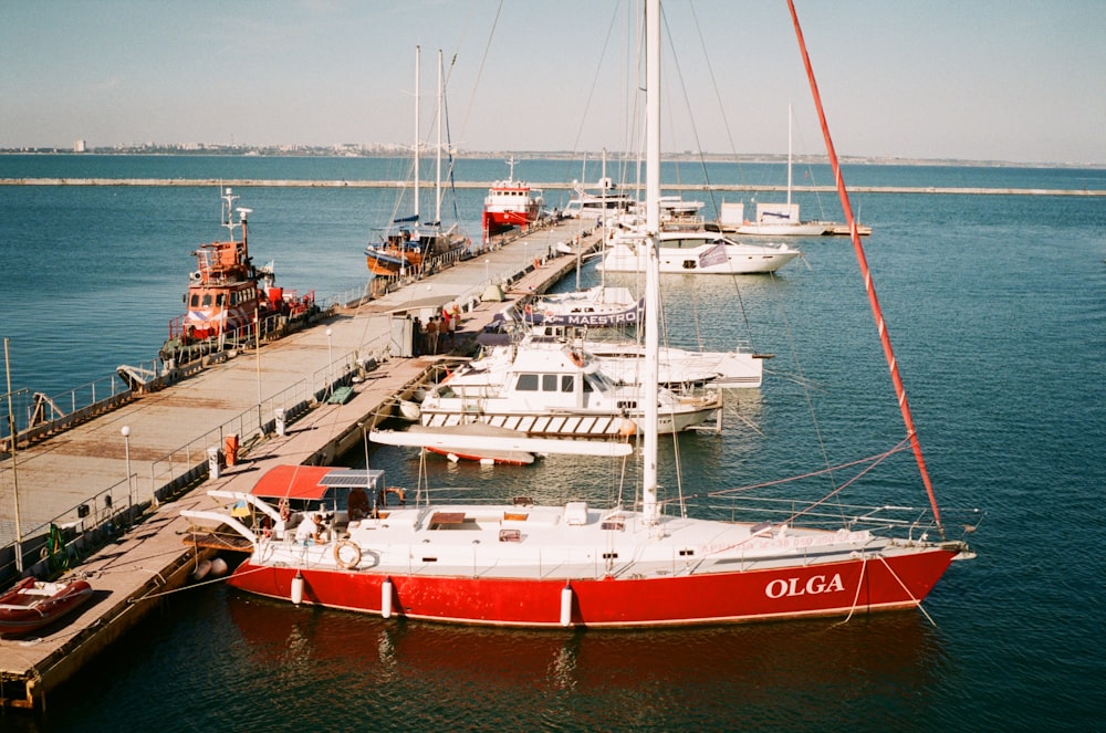 white and red ship on sea during daytime