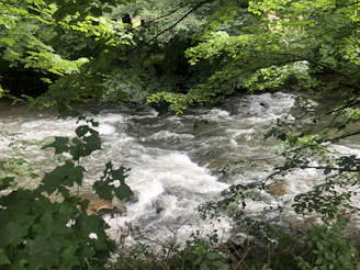 Flowing river in the Sacred Valley surrounded by lush greenery and ancient Inca stone ruins.