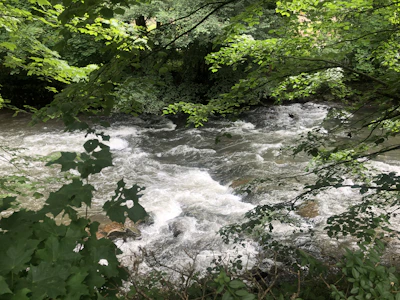 Flowing river in the Sacred Valley framed by vibrant green foliage and ancient ruins