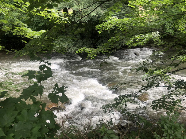 Flowing river winding through lush green Amazonian jungle landscape.