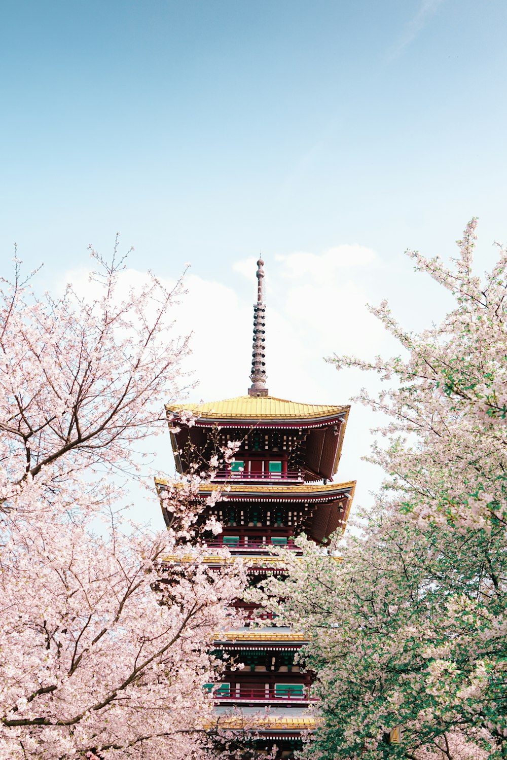 brown and black pagoda temple