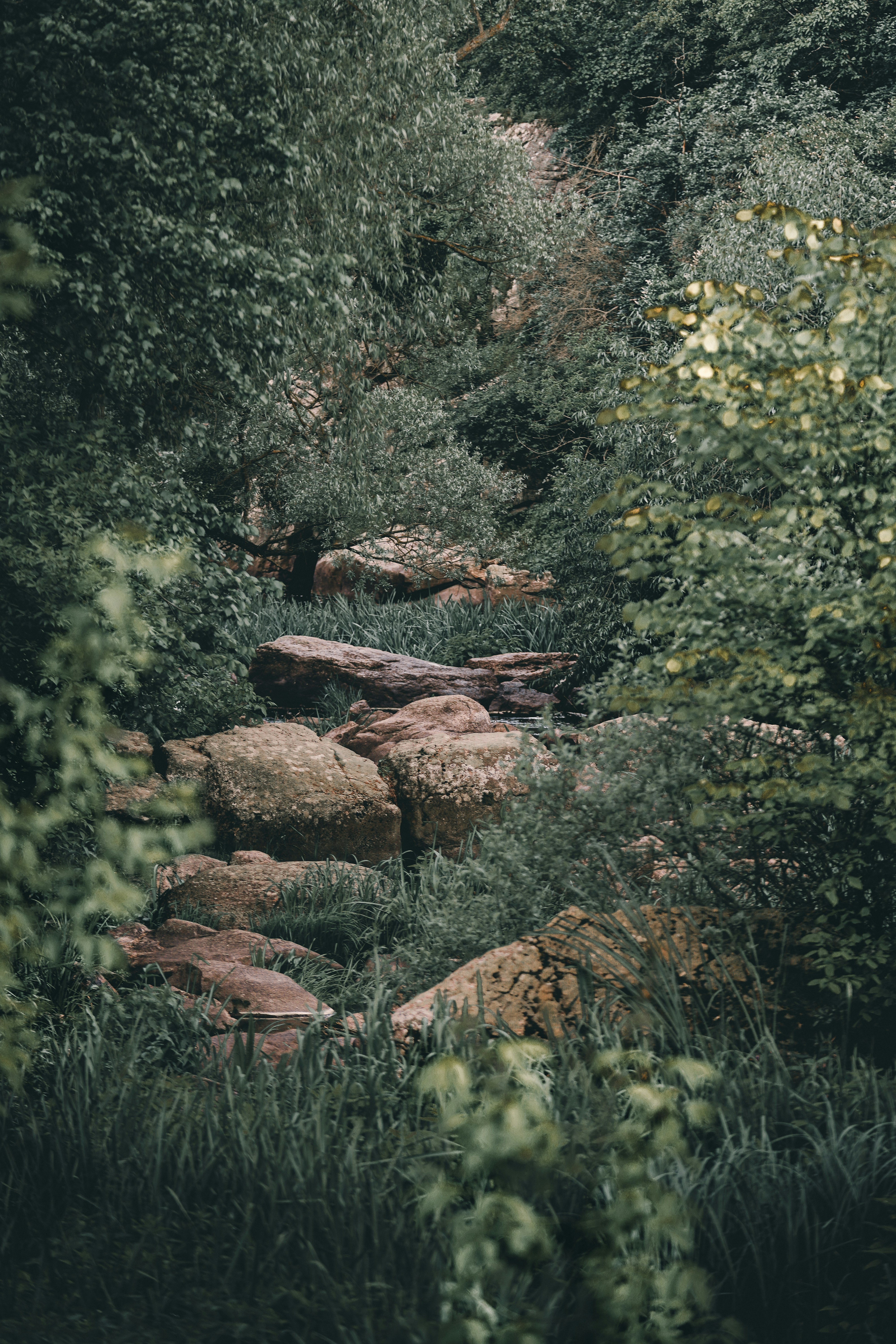 Photo by maksym_tymchyk