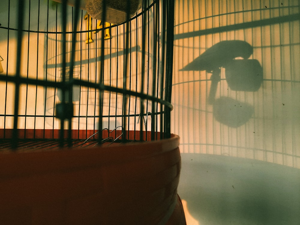 black bird cage on brown wooden table