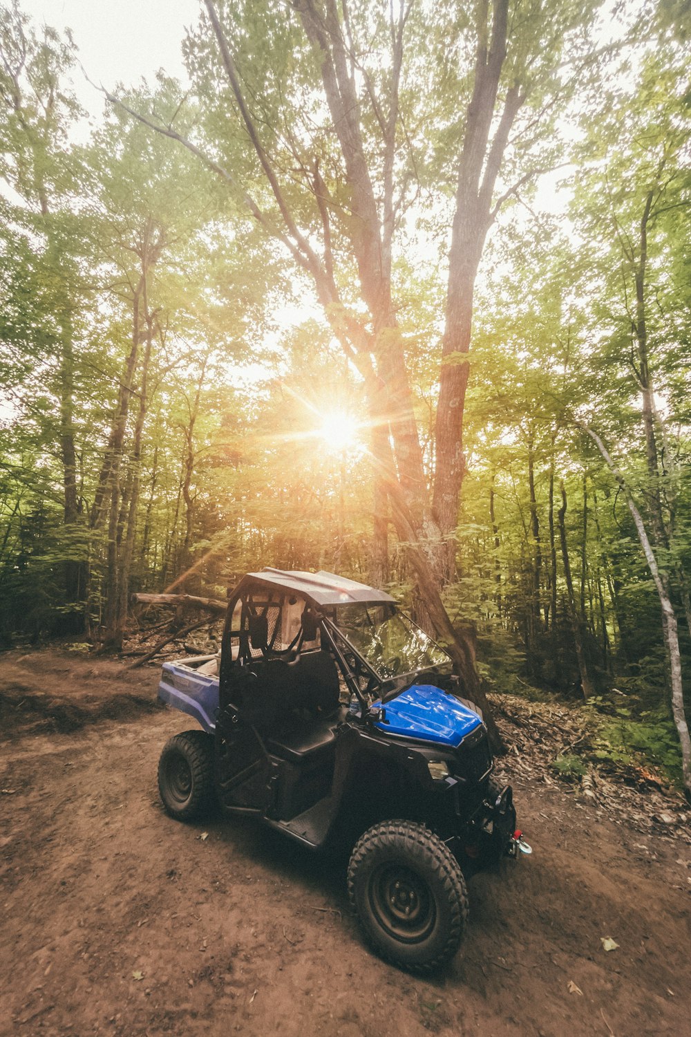black and blue atv on forest during daytime