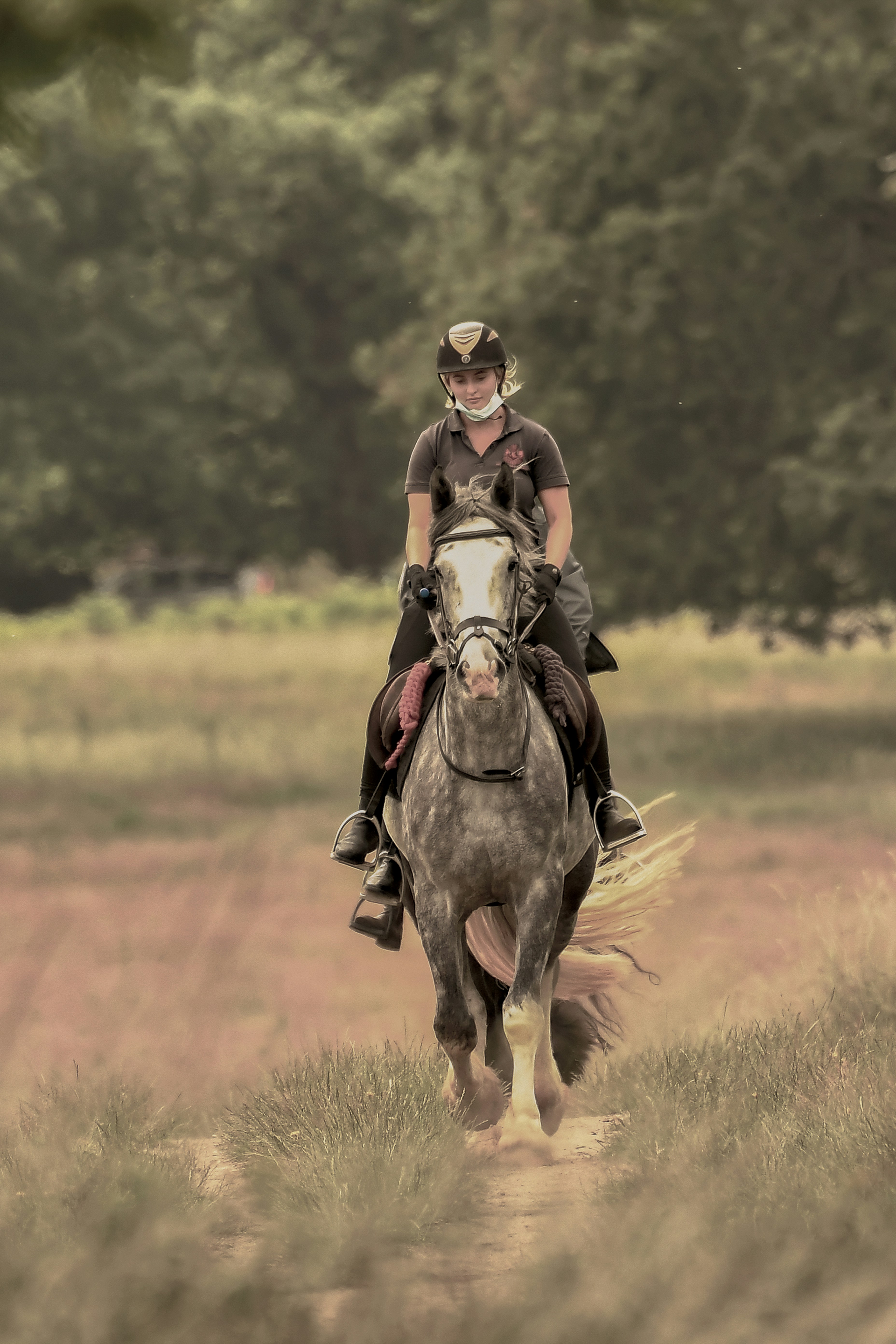 man riding horse on brown grass field during daytime