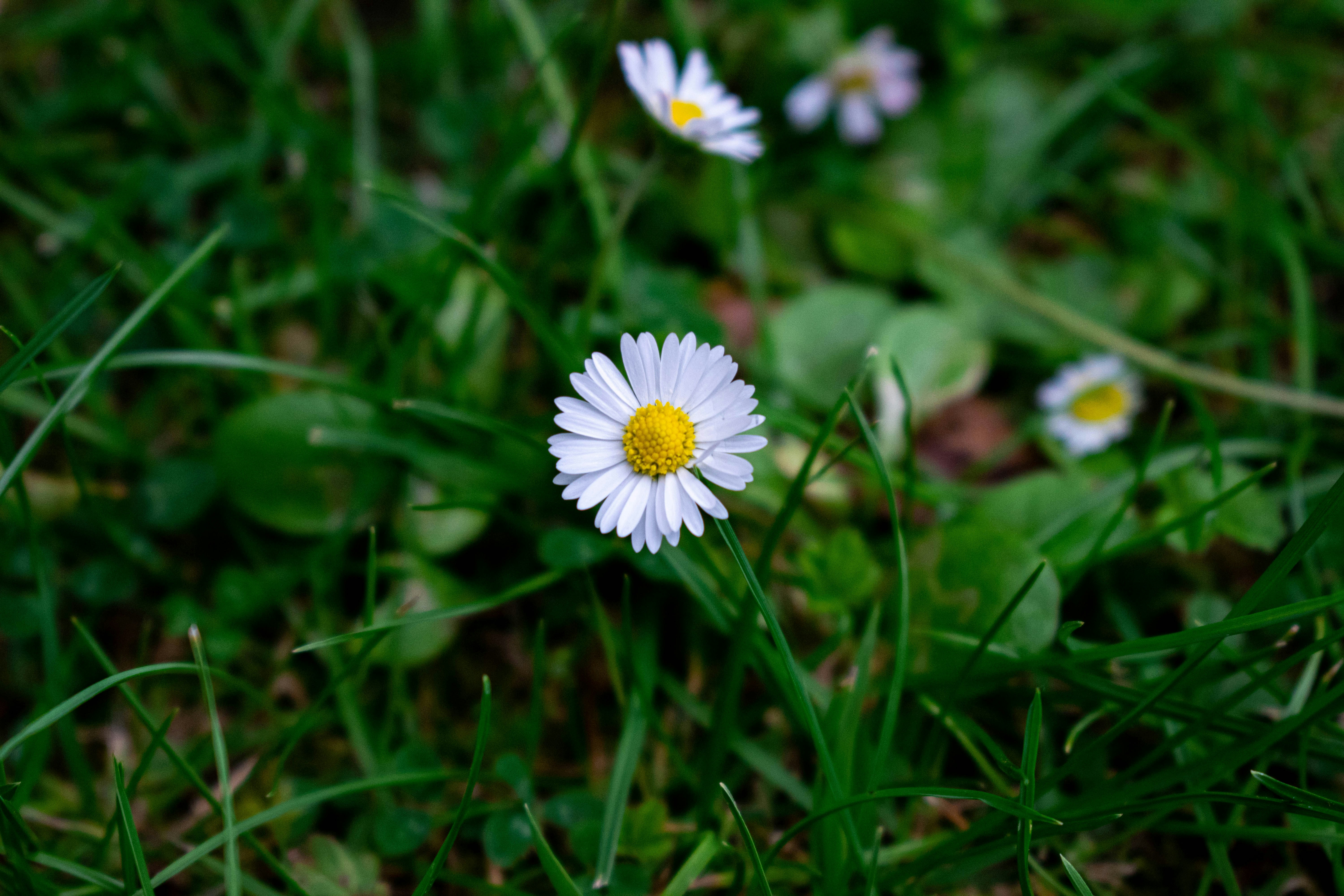 Photo by infinitecreations21