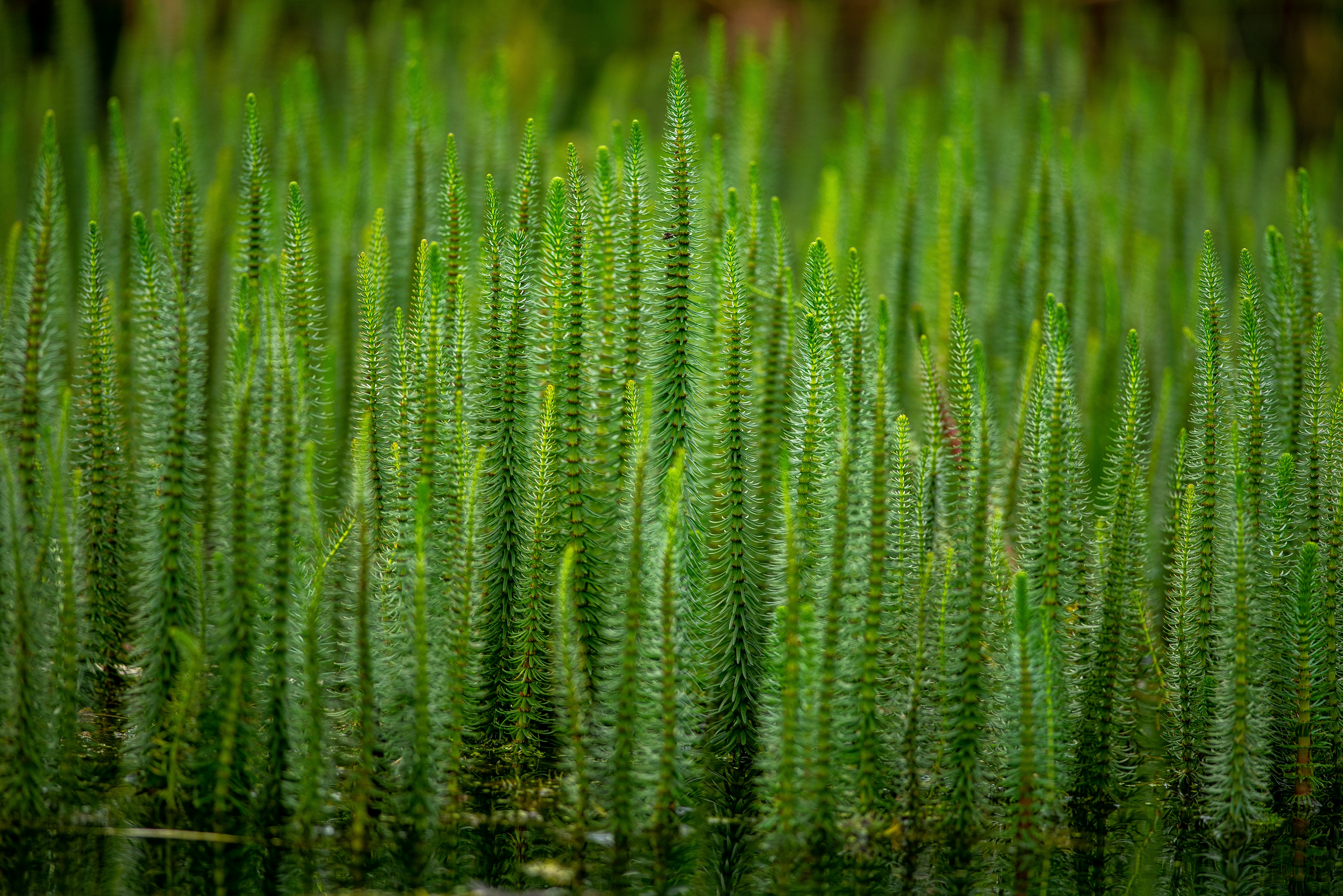 Photo by strippedlight