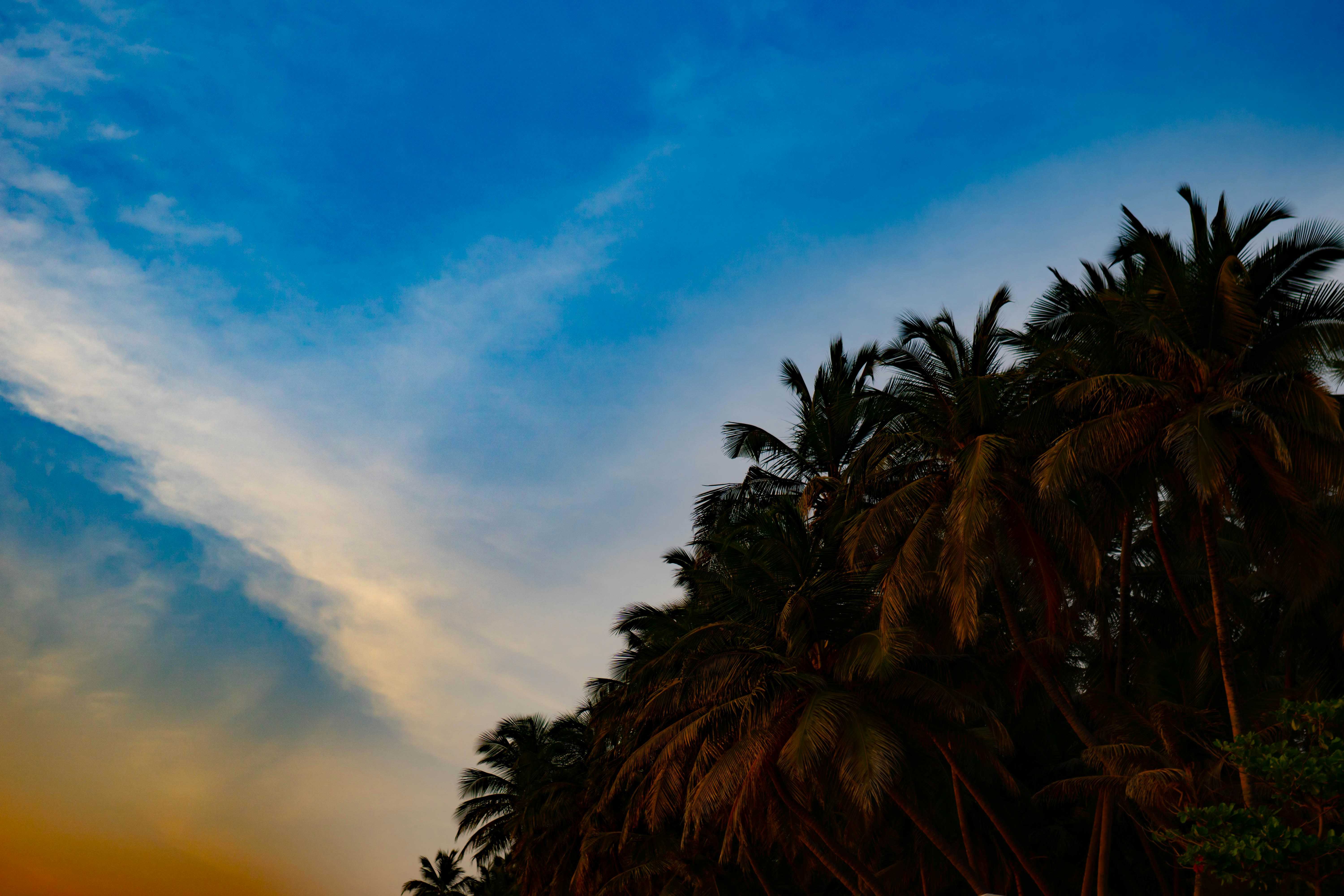 Photo by lonewolf1989