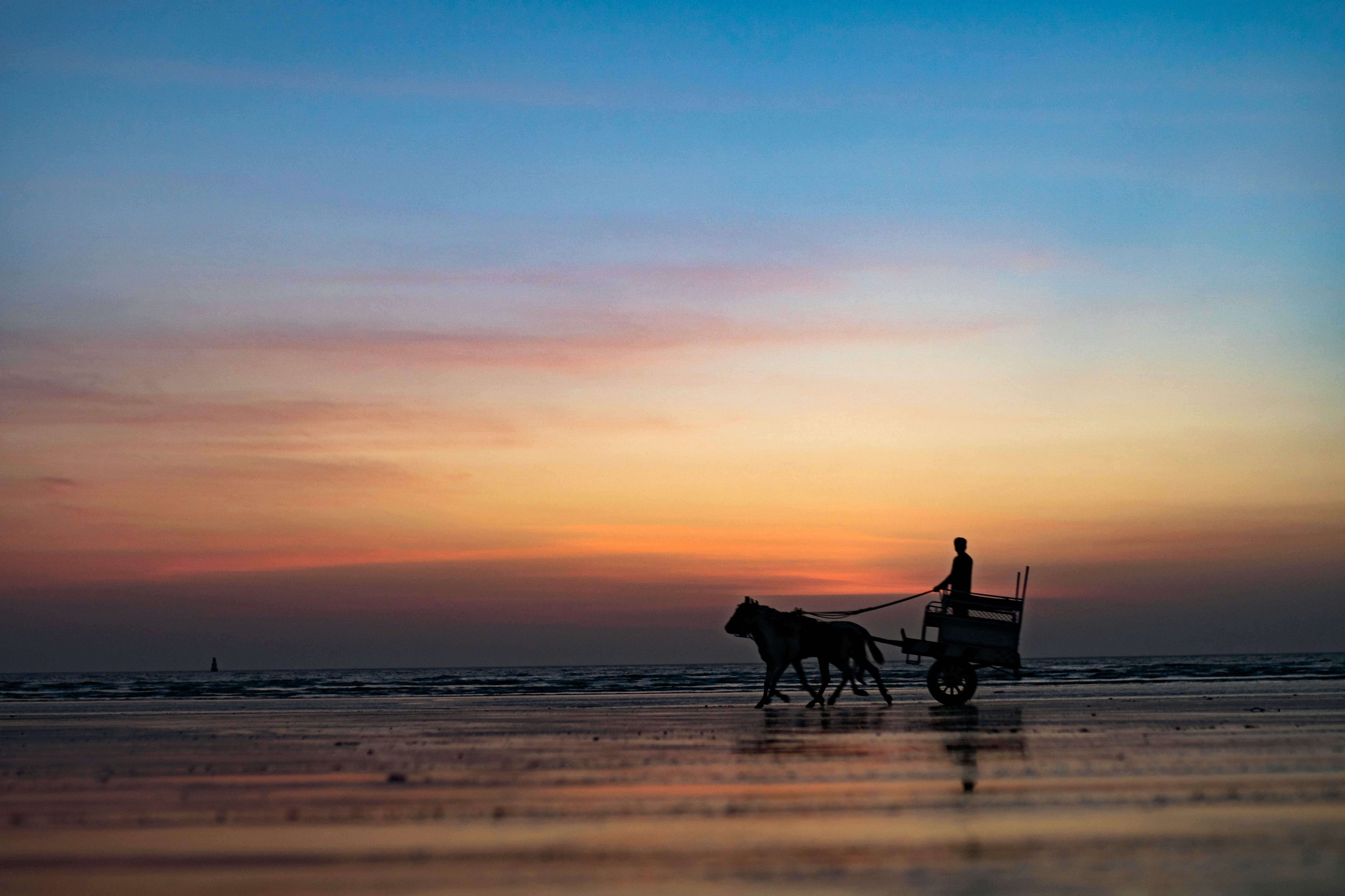 Photo by lonewolf1989