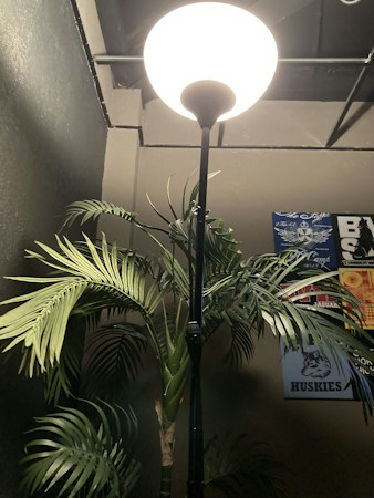 A black floor lamp with a bright white bulb is positioned next to a tall artificial plant with lush green leaves. Several posters with various designs and colors are visible on the dark walls in the background. The ceiling appears industrial, with exposed pipes and beams.