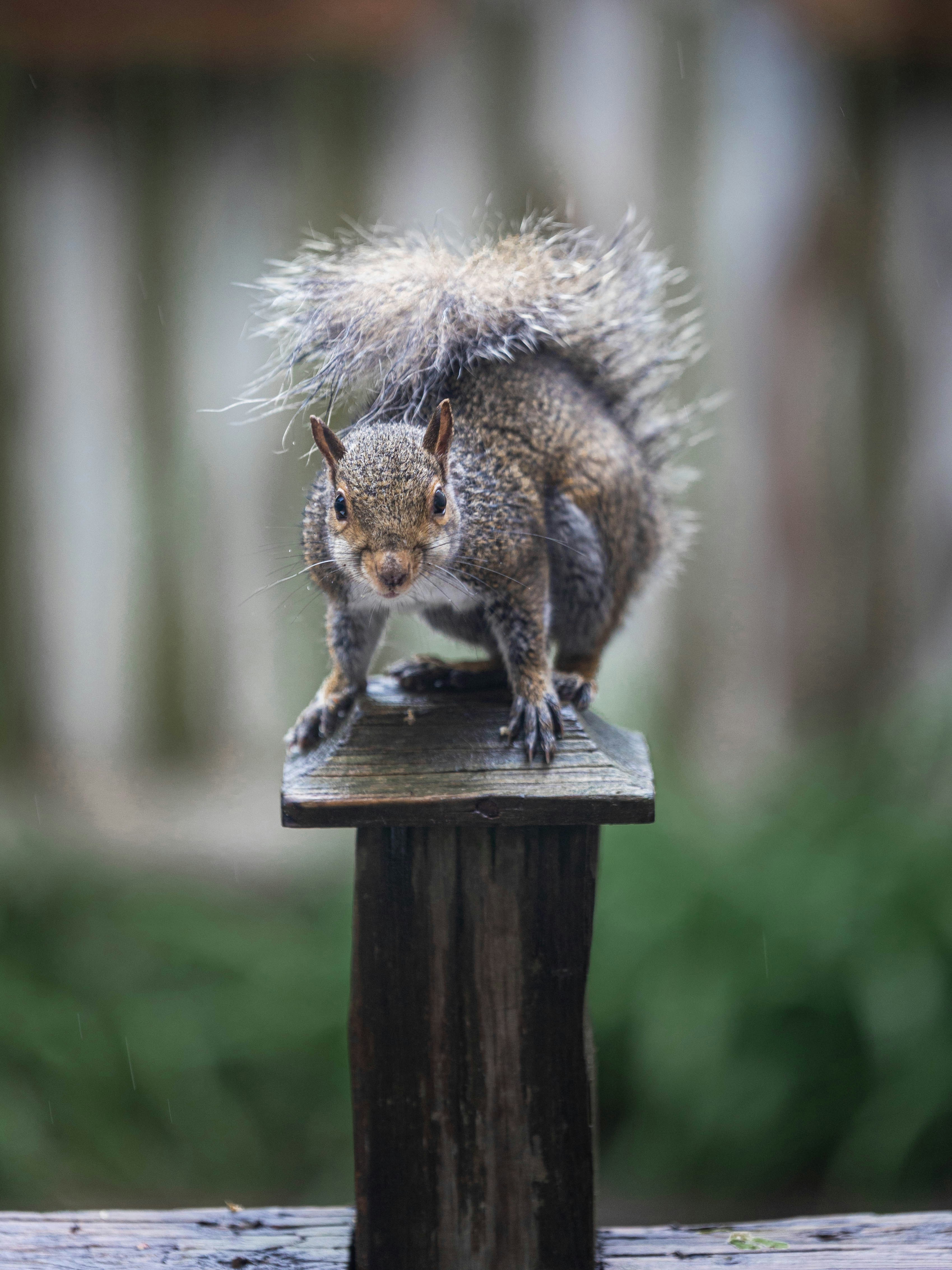 Photo by ola_duminuco