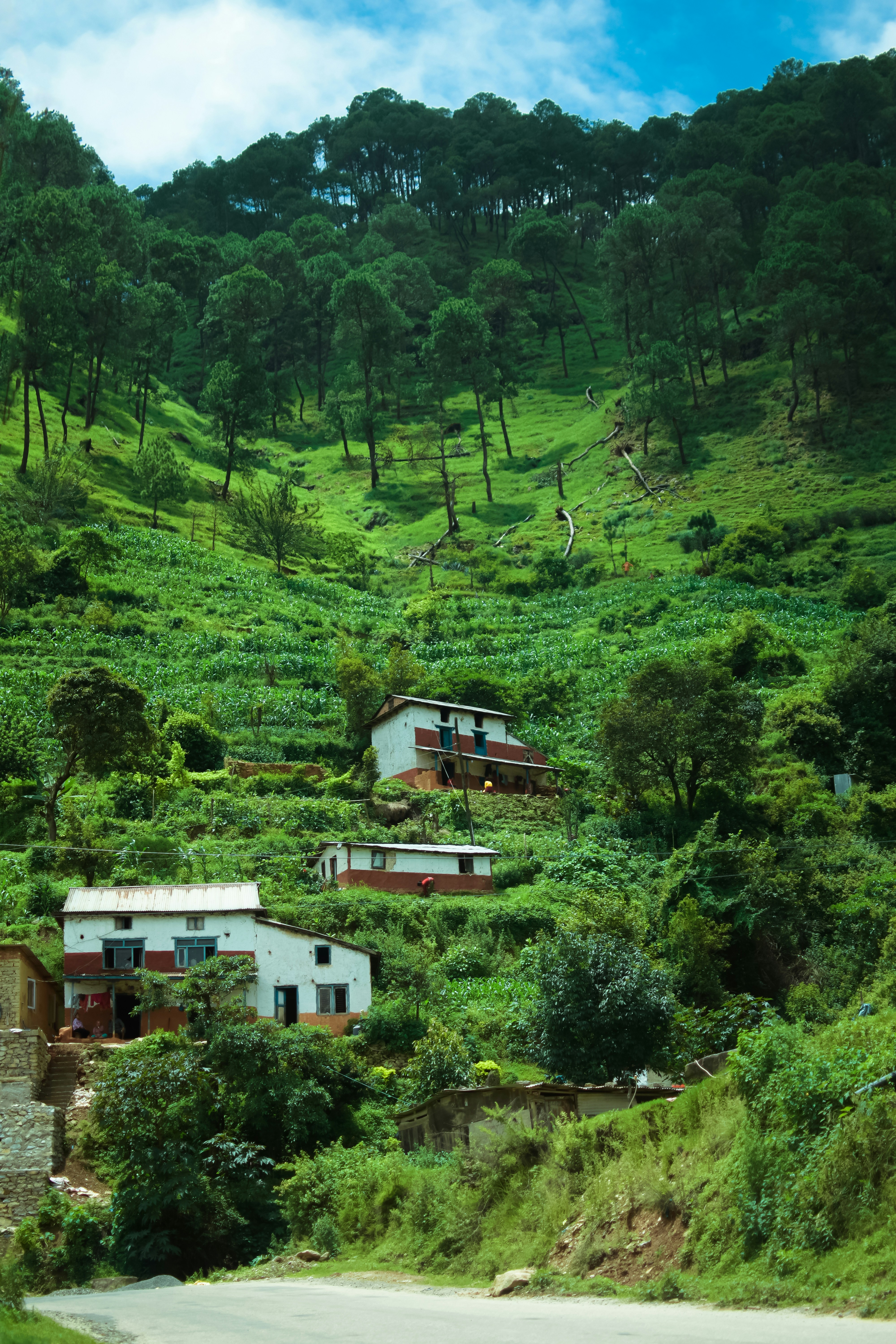 Photo by aayushakya45