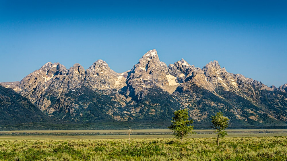 green grass field near snow covered mountain during daytime