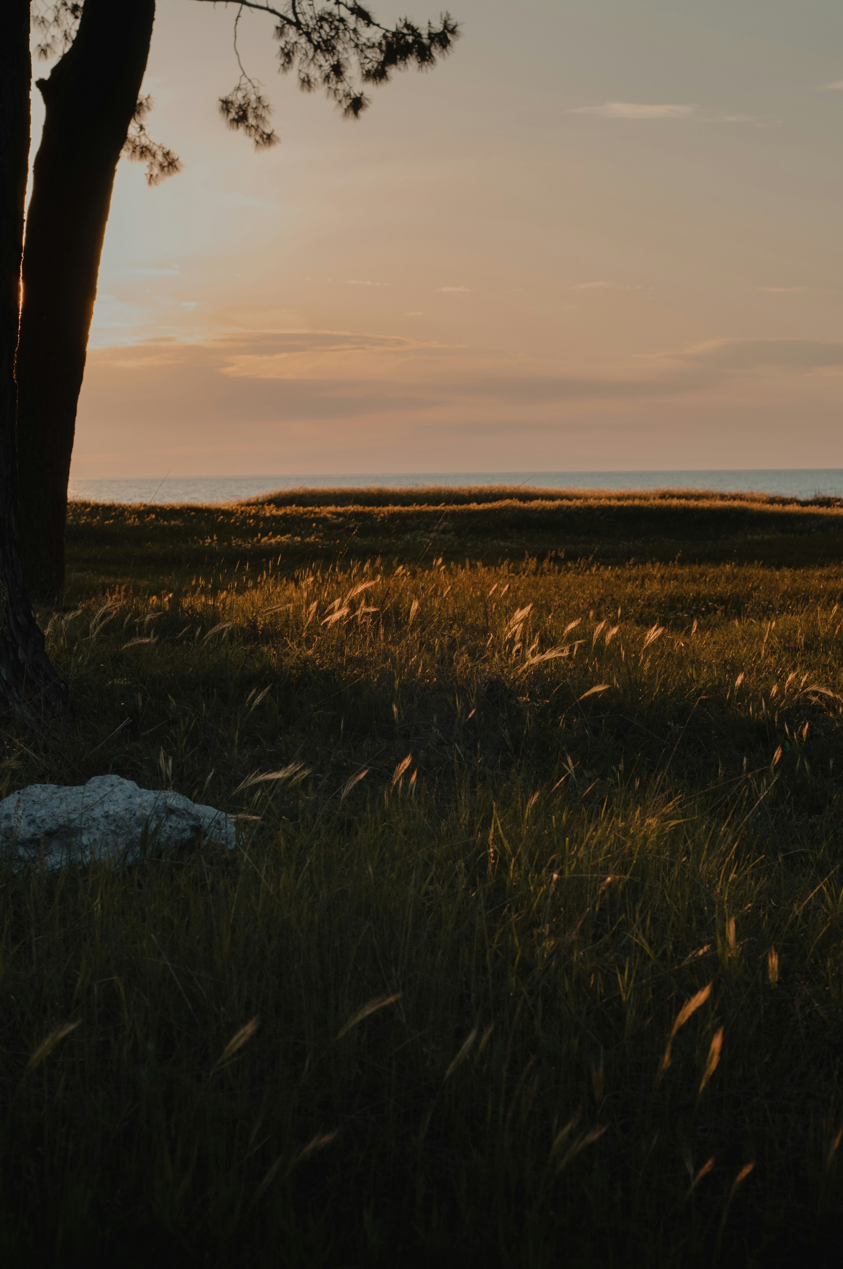 Photo by bullettrainnnnn