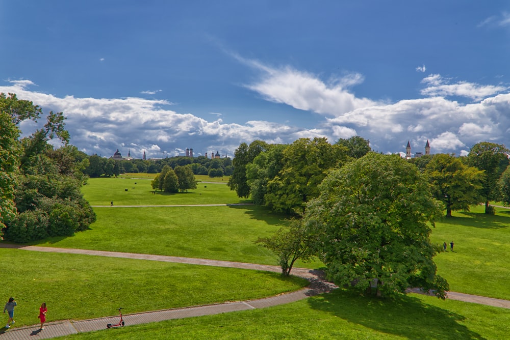 green trees on green grass field under blue sky during daytime