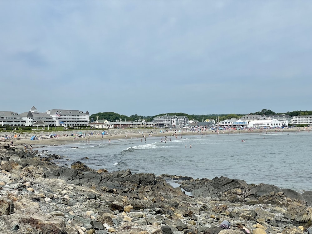 people on beach during daytime