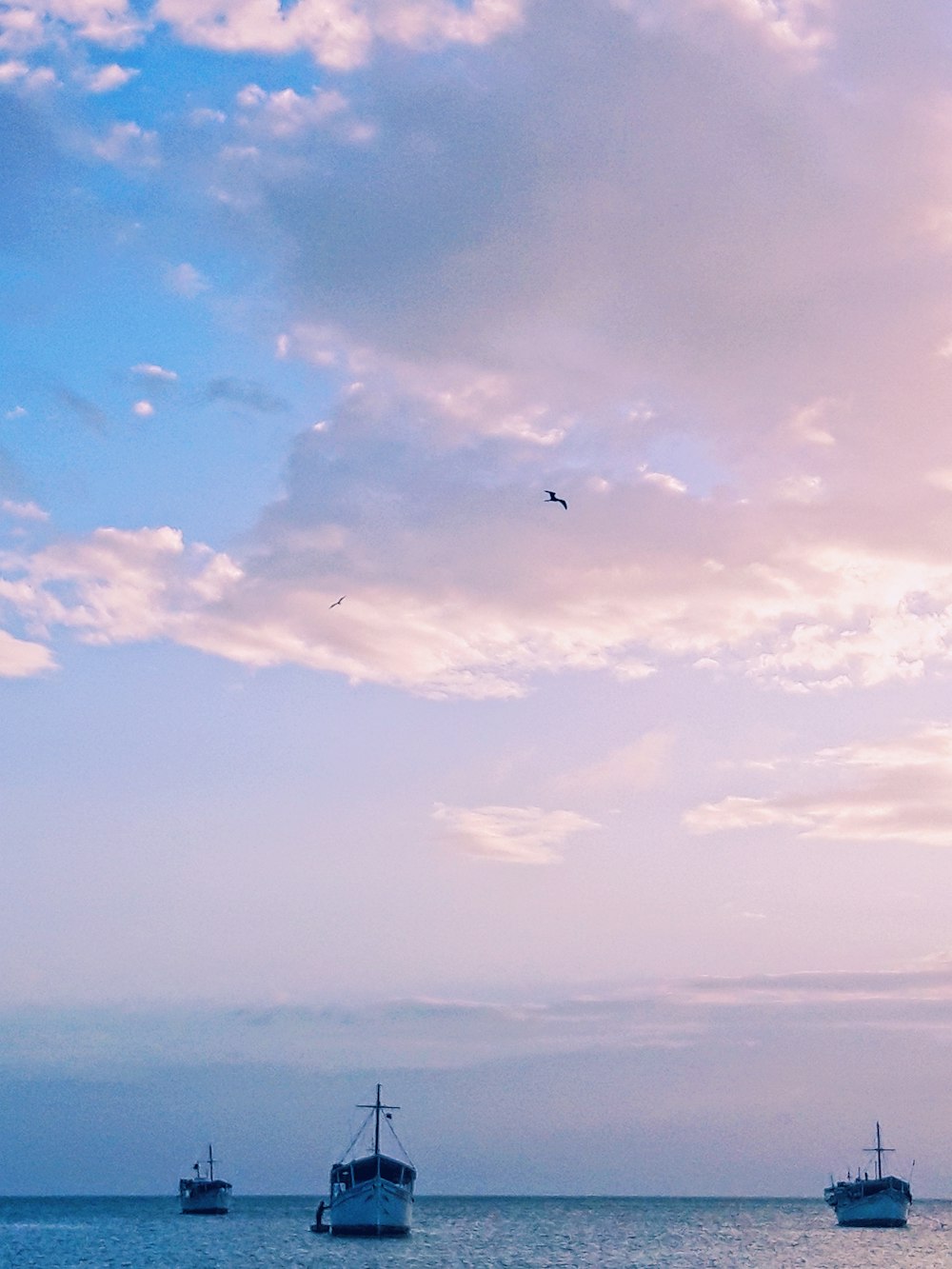 昼間に雲の上を飛んでいる鳥の写真 Unsplashで見つける海の無料写真