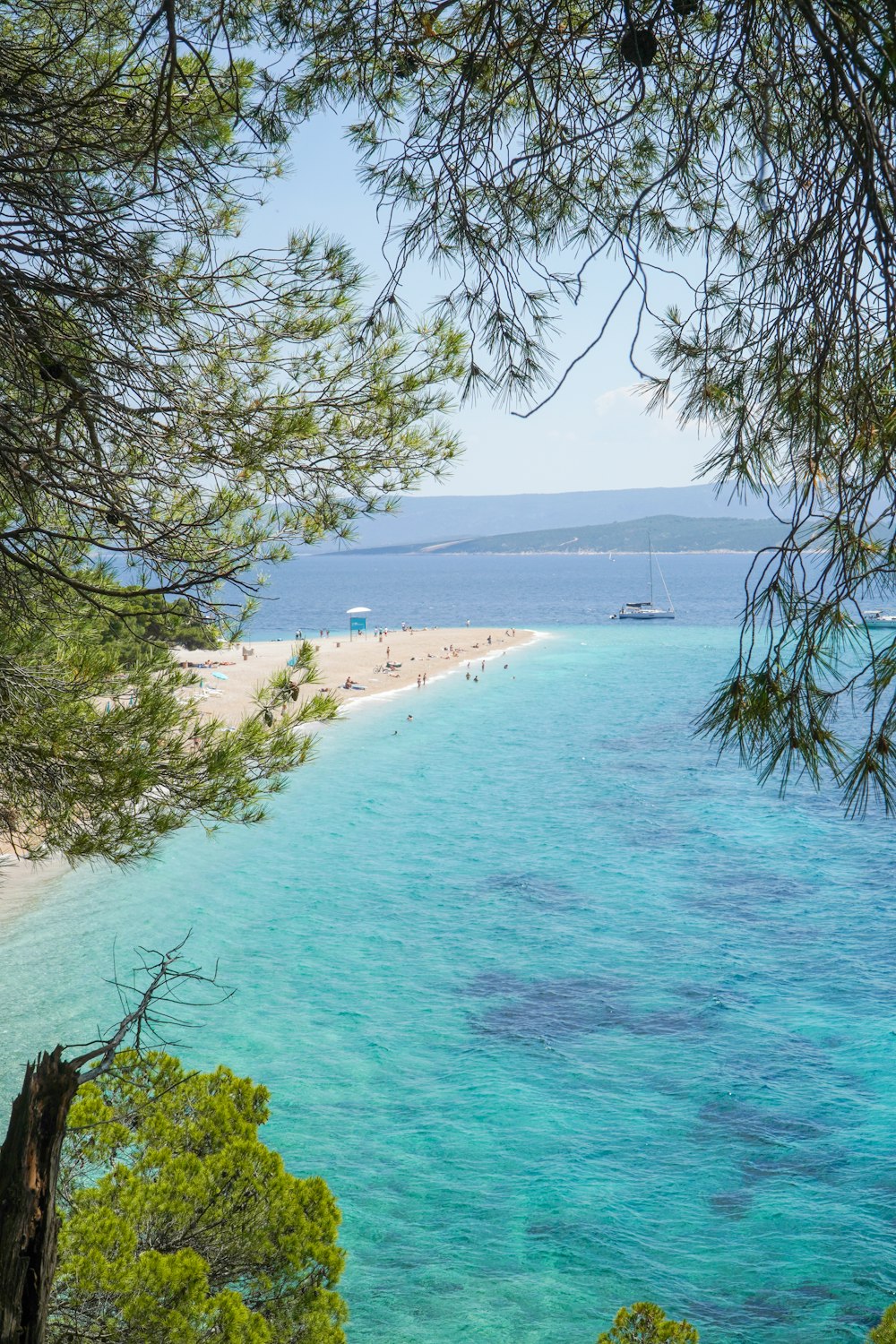 green trees on white sand beach during daytime