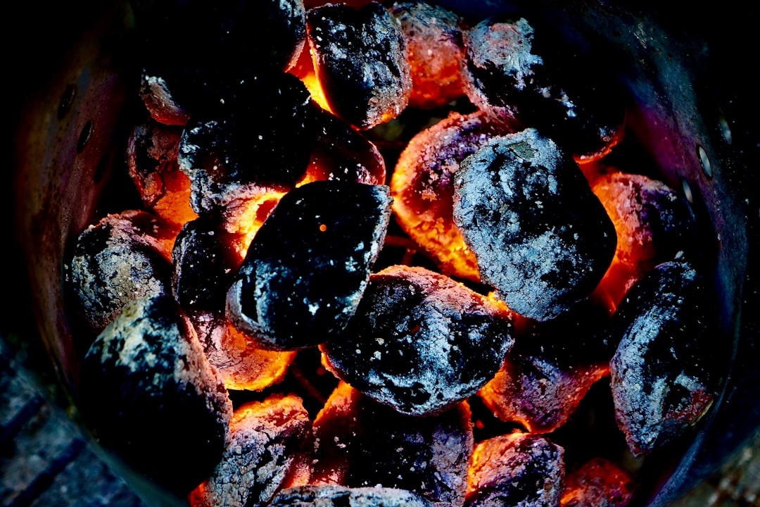 close up photo of grilled meat