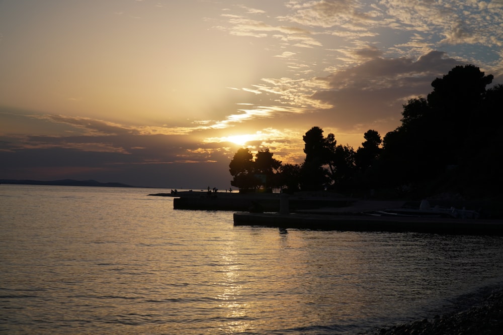 silhouette of trees near body of water during sunset