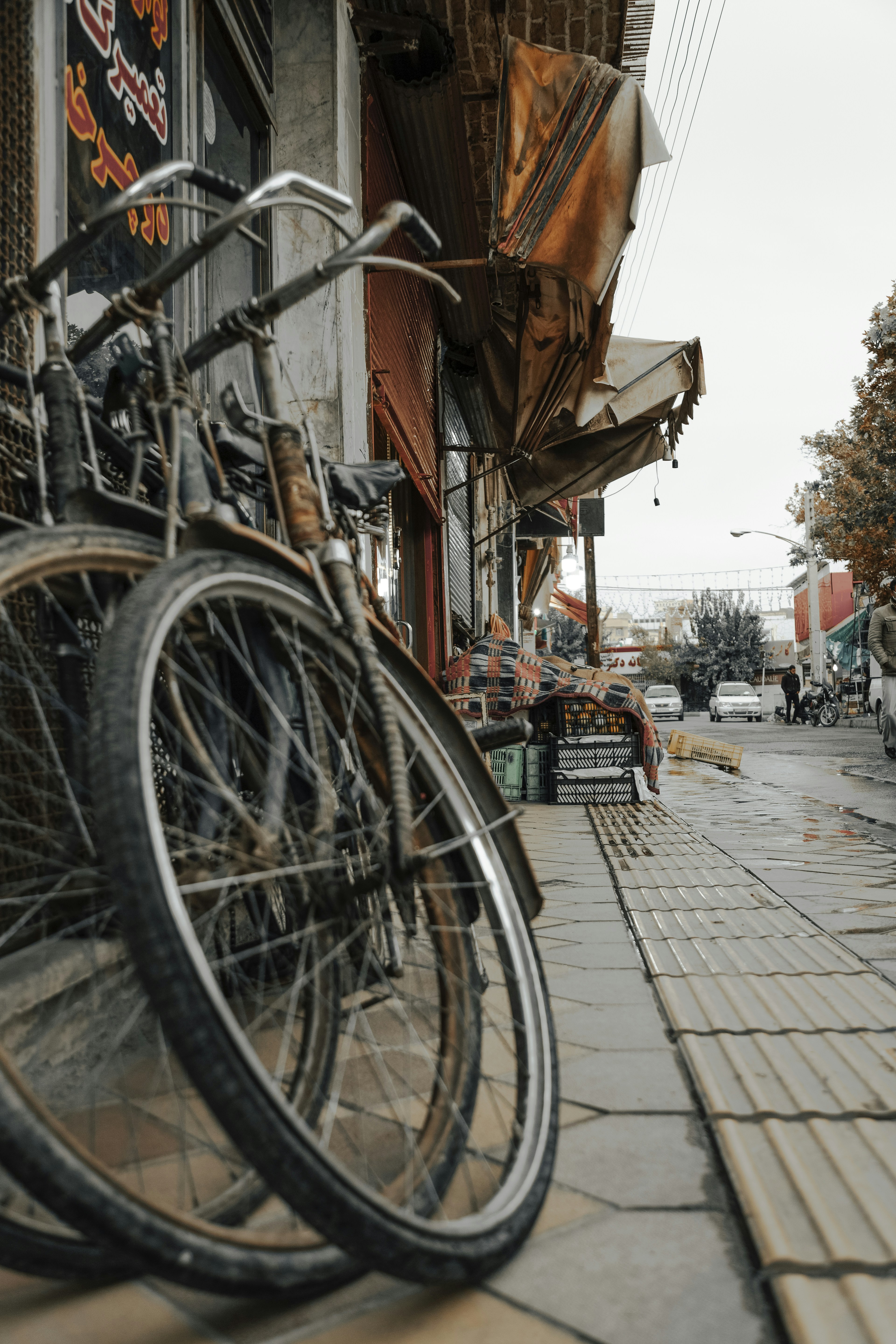 Photo by mohsenamerri