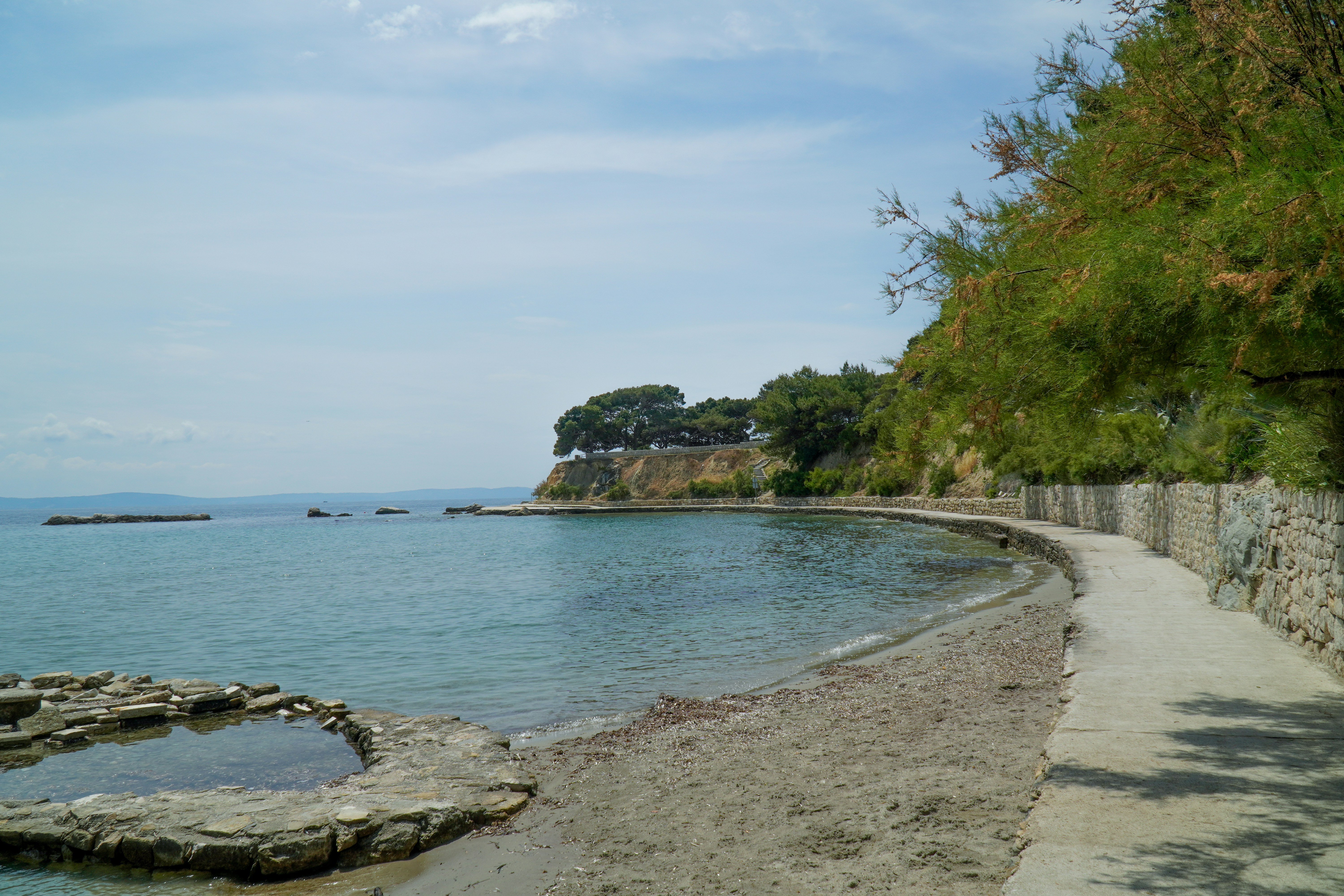 Pohon hijau di pantai pasir abu-abu di siang hari