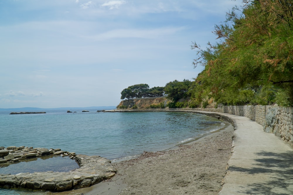 green trees on gray sand beach during daytime