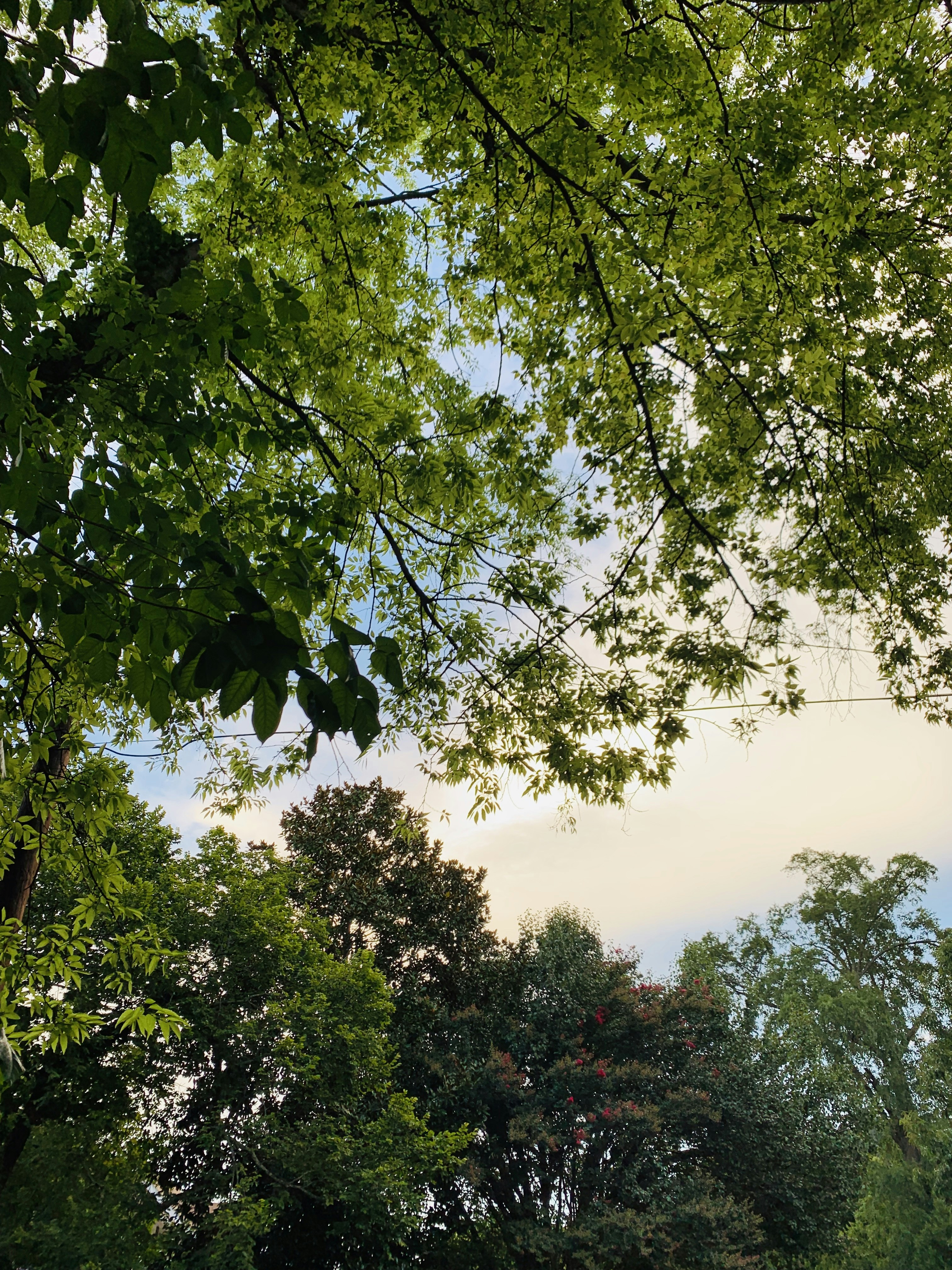 Photo by manish_shetty