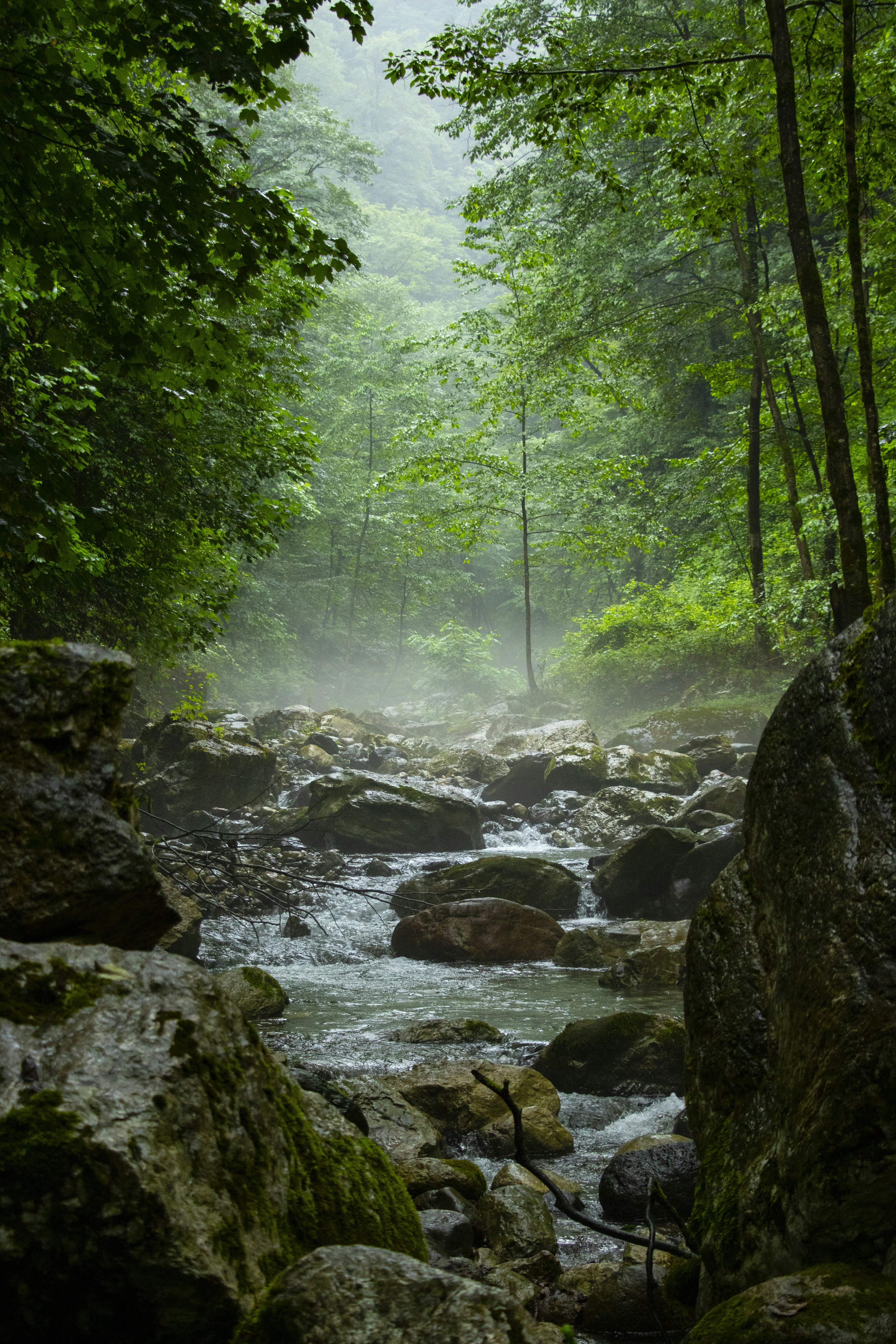 Photo by farshidzabbahi