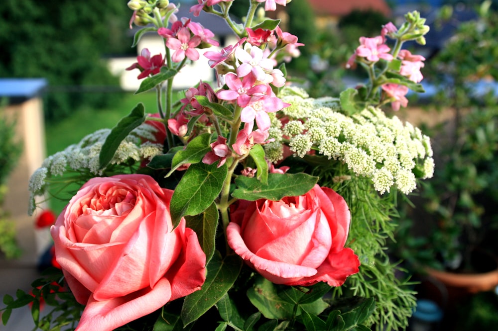 red rose and white babys breath flowers