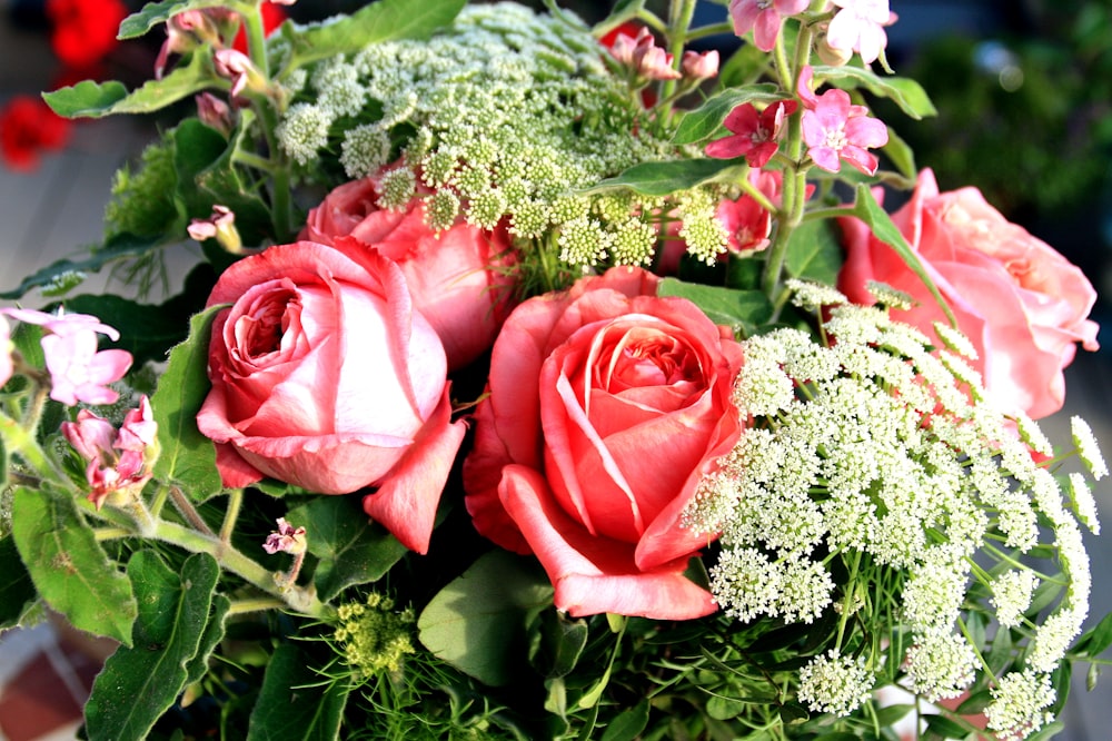 Bouquet de fleurs de roses rouges et de bébés blancs