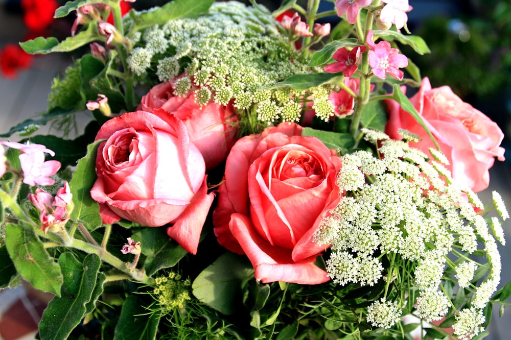 Rose rosse e bouquet di fiori bianchi per il respiro dei bambini