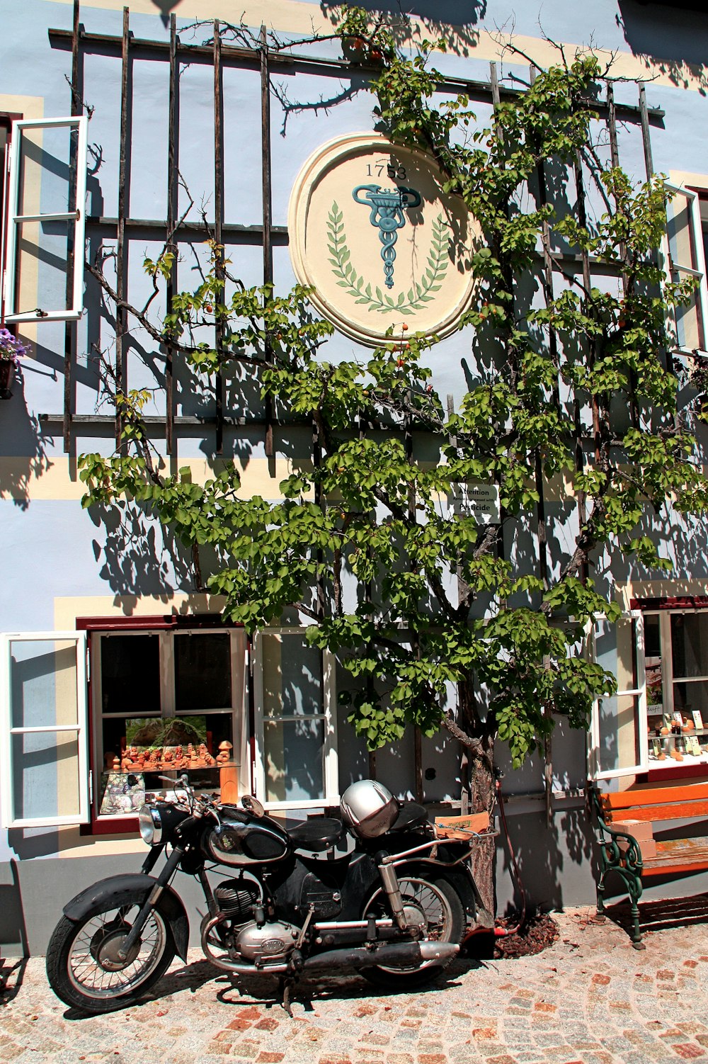 Motocicleta negra estacionada junto a un árbol verde durante el día