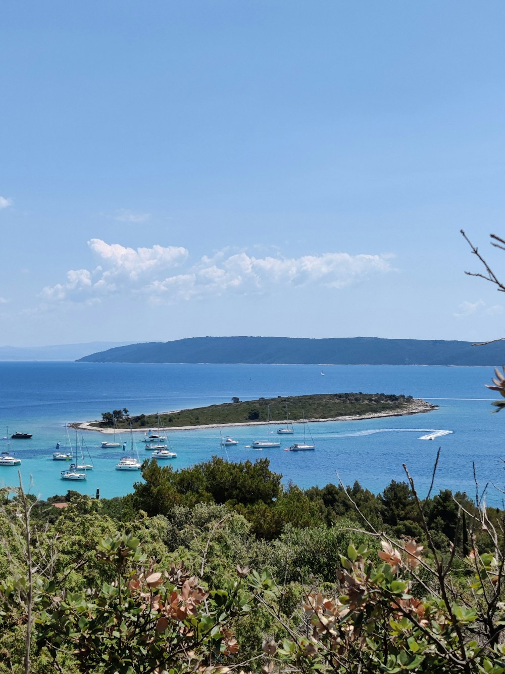 alberi verdi vicino allo specchio d'acqua durante il giorno