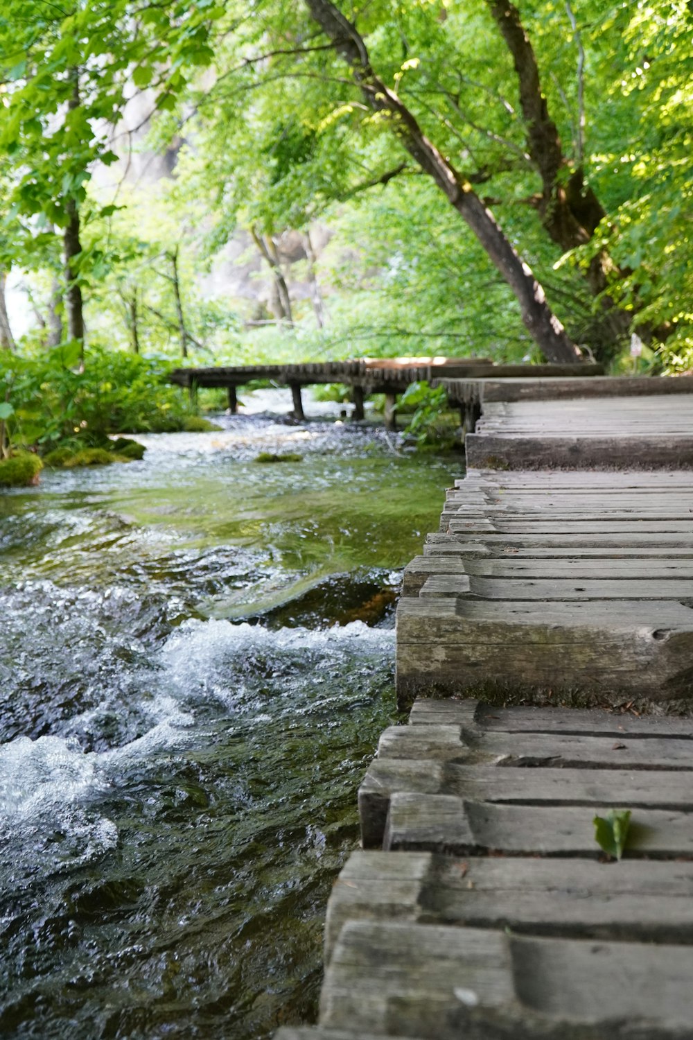 Puente de madera marrón sobre el río