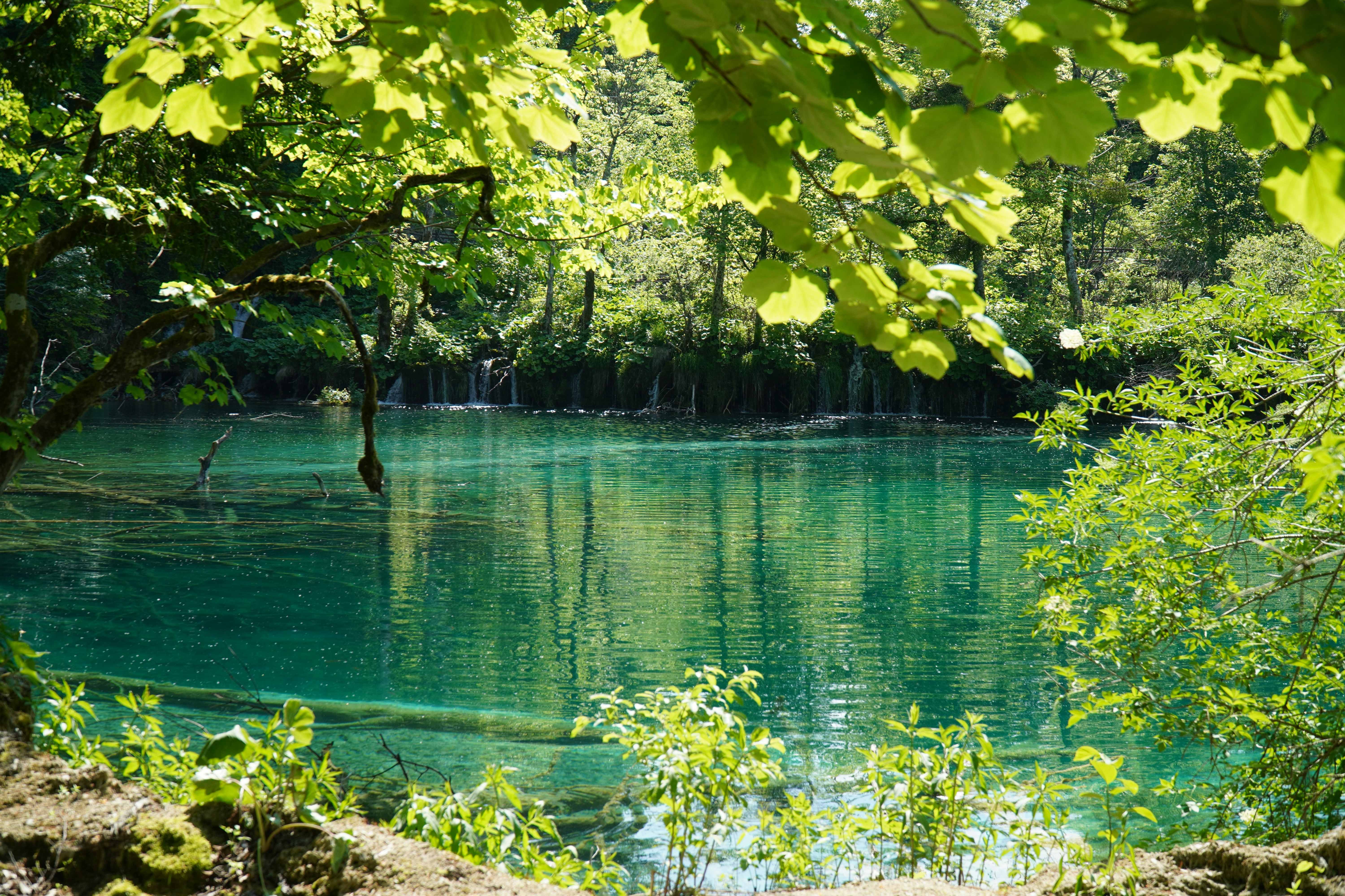 Photo by rabbit_in_blue