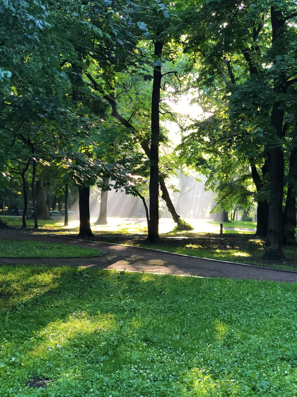 green grass field with trees