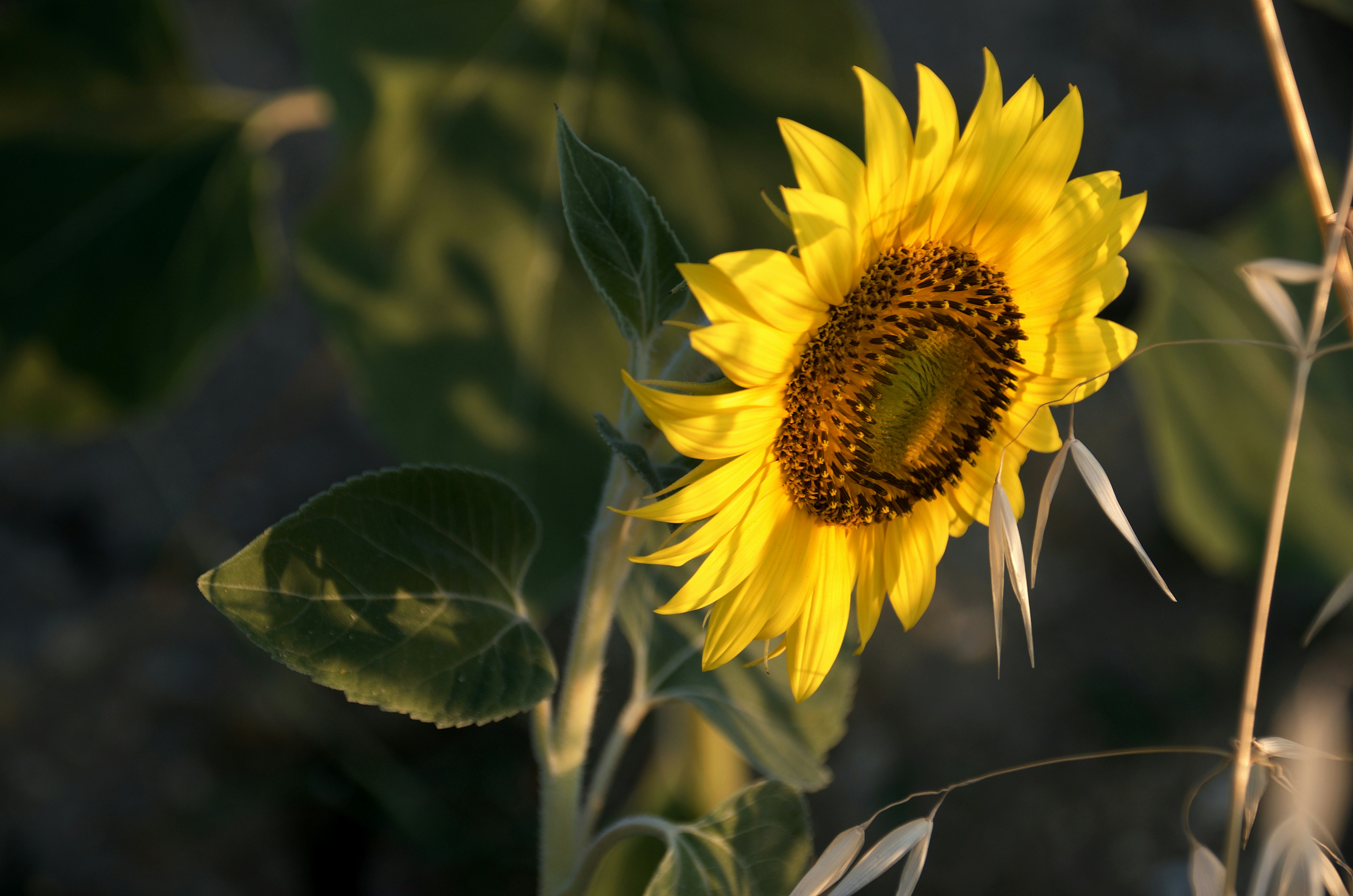 Photo by mariobeducci